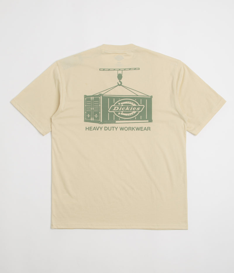Dickies Apison T-Shirt in Wood Ash