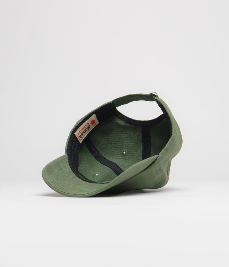 Mollusk Mushroom Dad Cap in Green