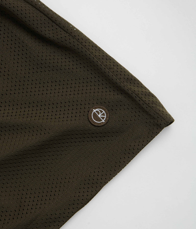 Polar Ray Shorts in Brown