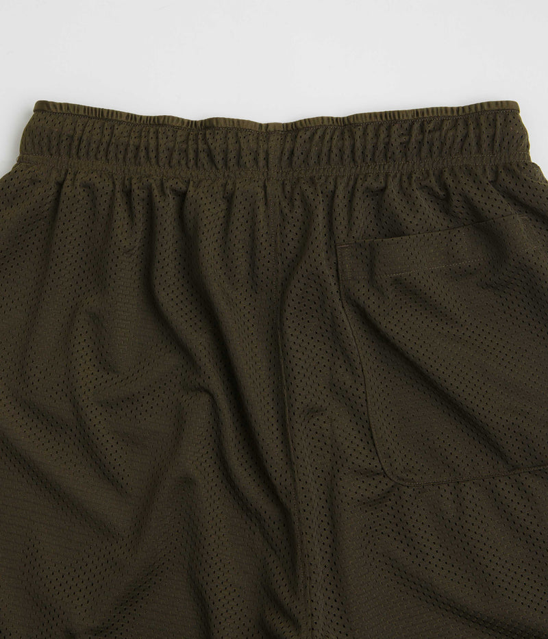 Polar Ray Shorts in Brown