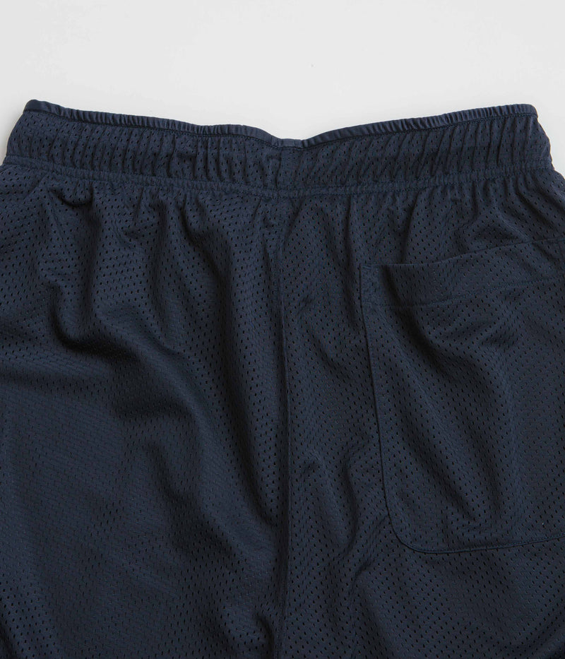 Polar Ray Shorts in Navy