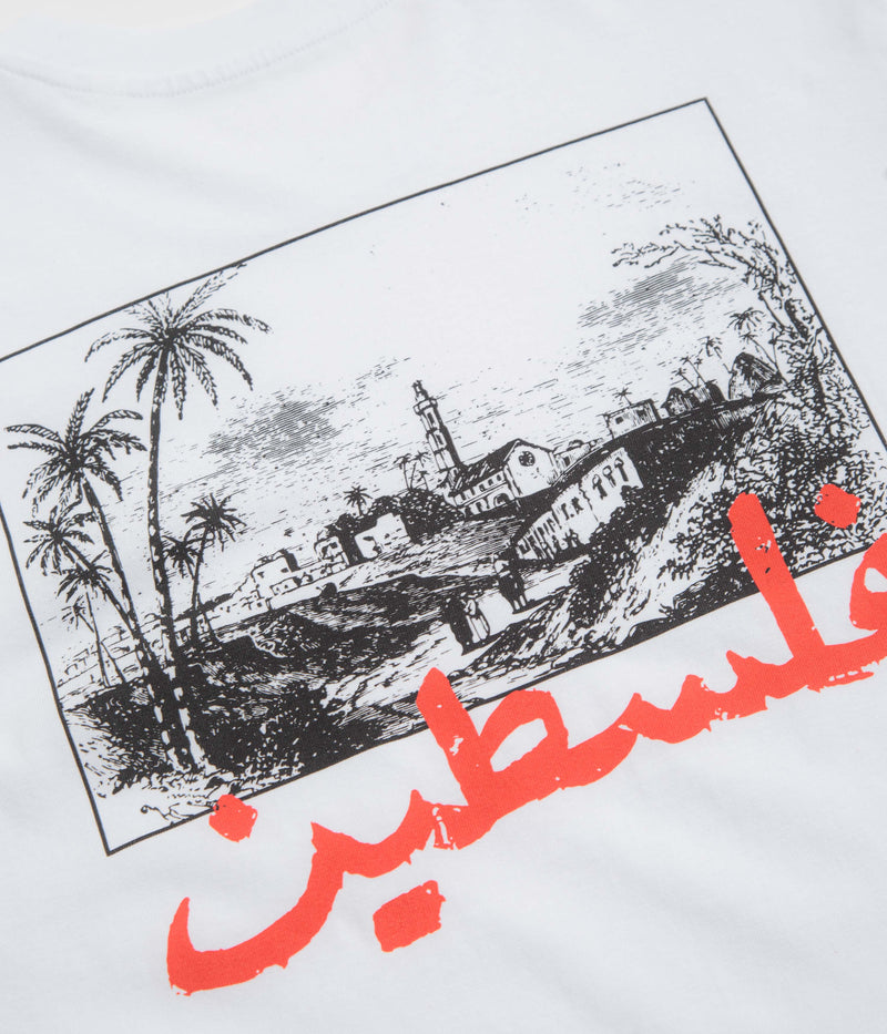 SkatePal Palms T-Shirt in White
